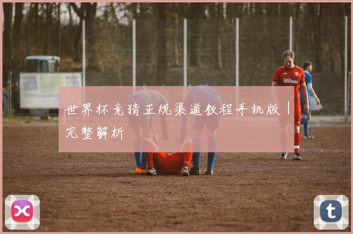 世界杯竞猜正规渠道教程手机版｜完整解析