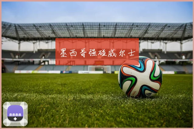 墨西哥强碰威尔士