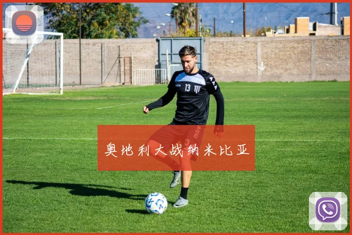 奥地利大战纳米比亚