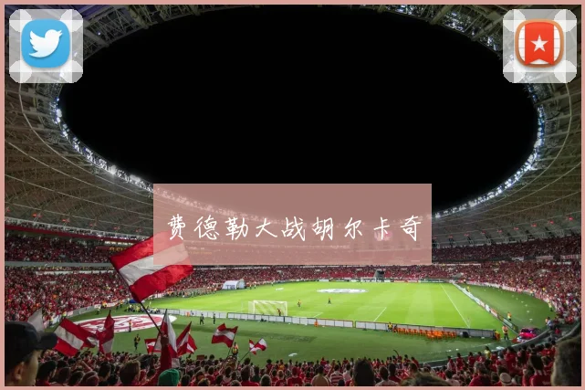 费德勒大战胡尔卡奇