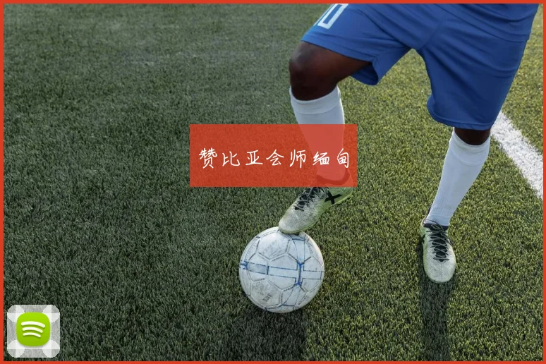 赞比亚会师缅甸
