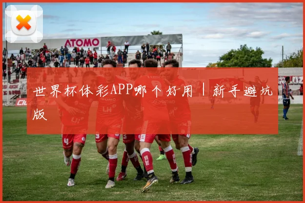世界杯体彩APP哪个好用｜新手避坑版