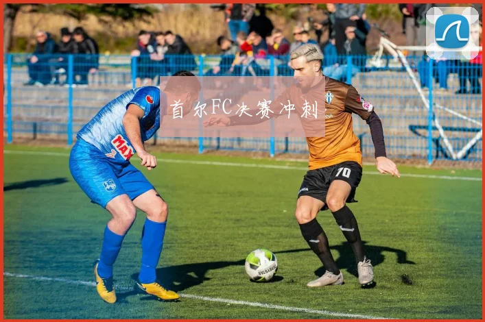 首尔FC决赛冲刺