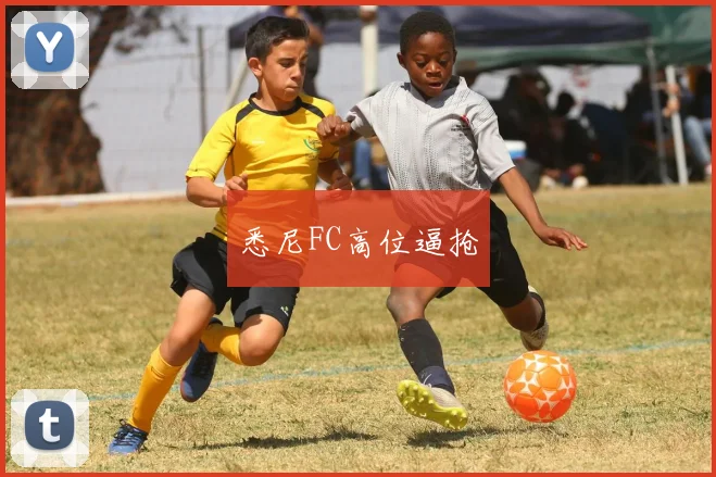 悉尼FC高位逼抢