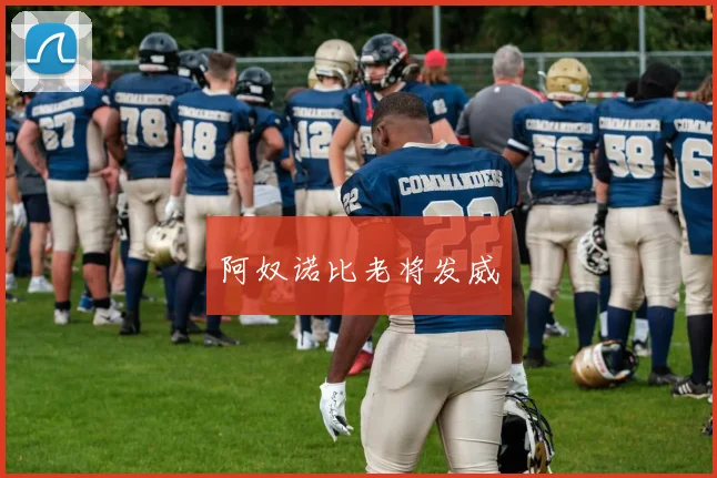 阿奴诺比老将发威