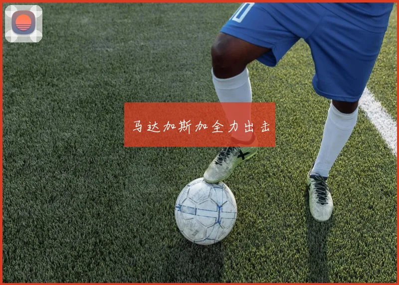 马达加斯加全力出击