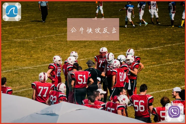 公牛快攻反击
