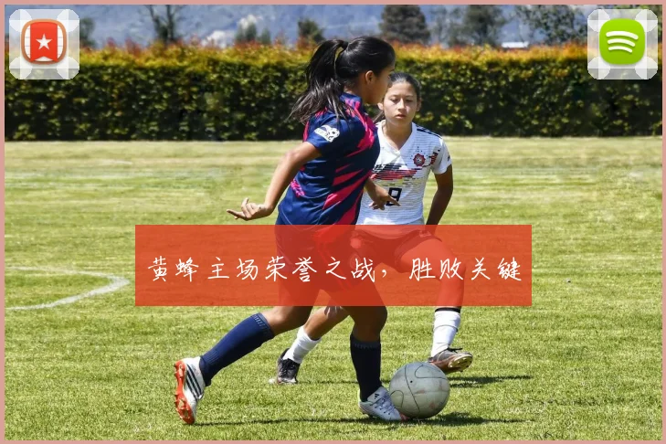 黄蜂主场荣誉之战，胜败关键
