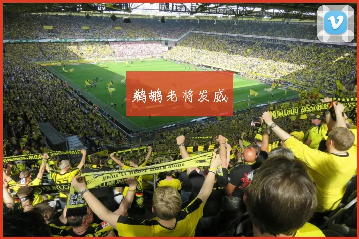 鹈鹕老将发威
