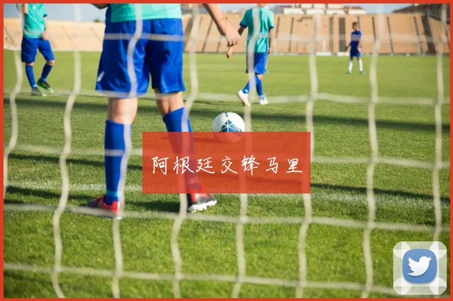 阿根廷交锋马里