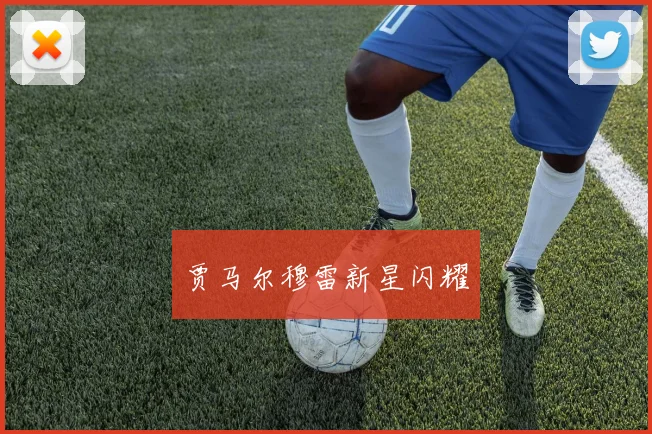 贾马尔穆雷新星闪耀