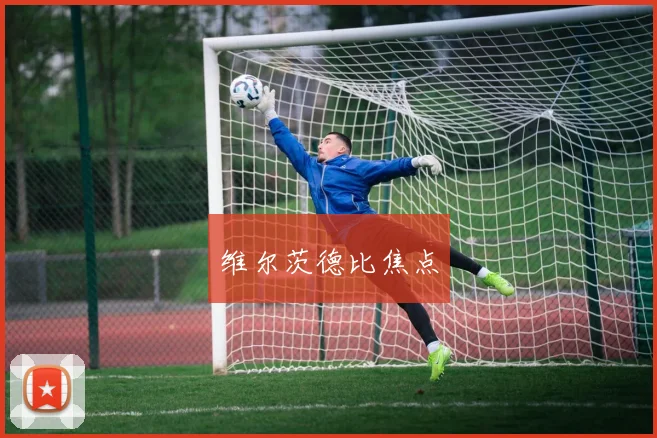 维尔茨德比焦点