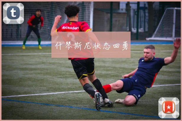 什琴斯尼状态回勇