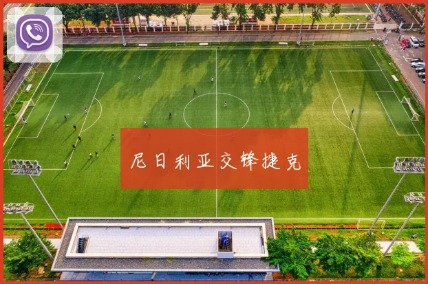 尼日利亚交锋捷克