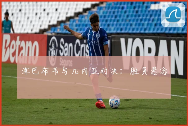 津巴布韦与几内亚对决：胜负悬念