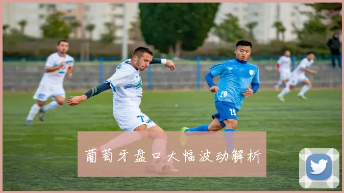 葡萄牙盘口大幅波动解析