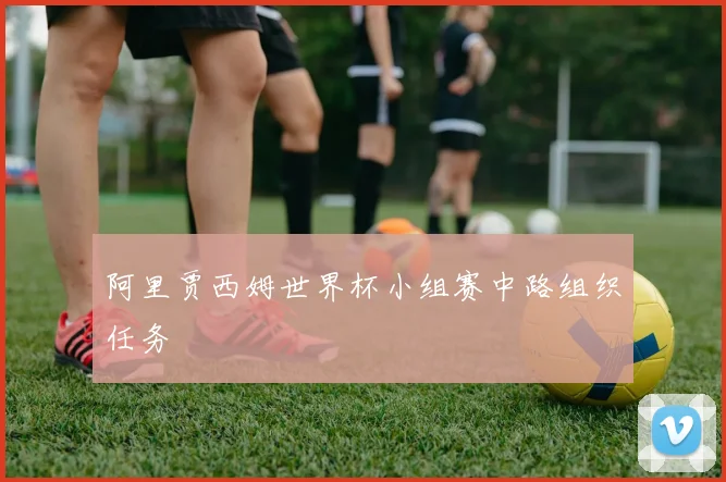 阿里贾西姆世界杯小组赛中路组织任务