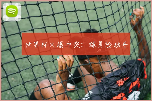 世界杯火爆冲突：球员险动手