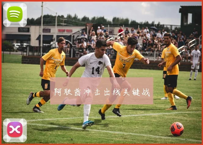 阿联酋冲击出线关键战