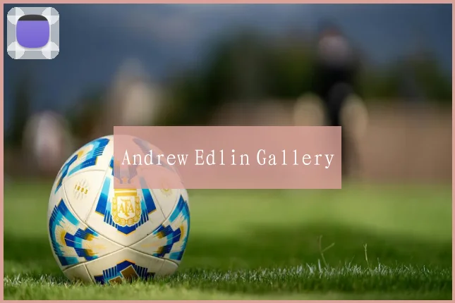 Andrew Edlin Gallery