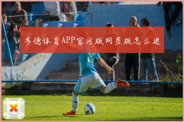 韦德体育APP官方版网页版怎么进