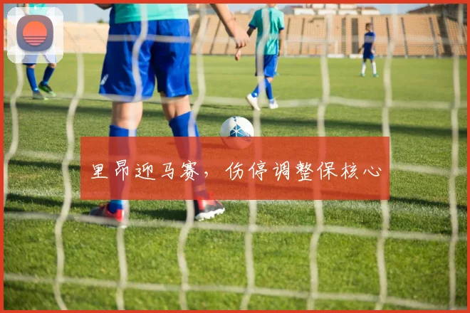 里昂迎马赛,伤停调整保核心
