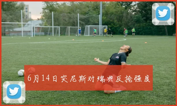 6月14日突尼斯对瑞典反抢强度