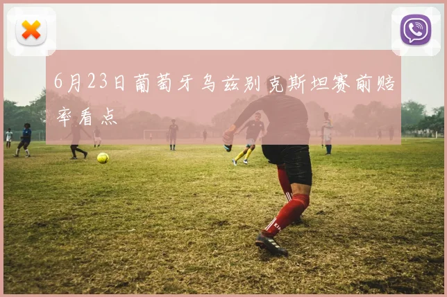 6月23日葡萄牙乌兹别克斯坦赛前赔率看点
